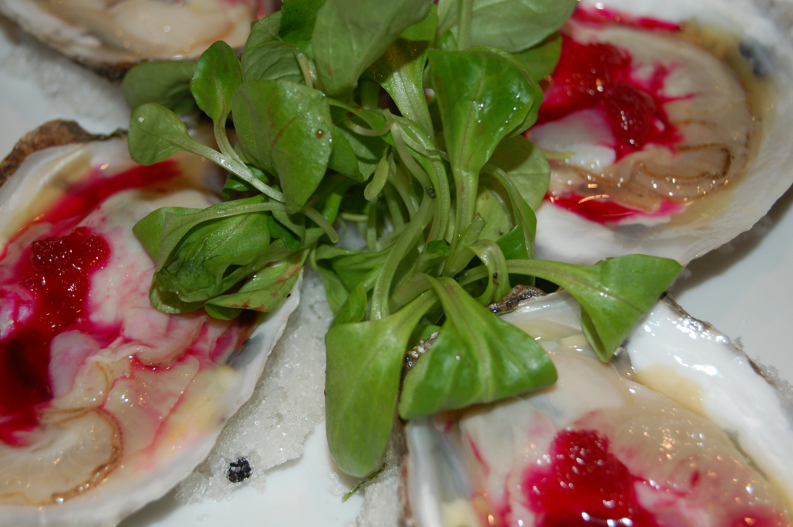 Fresh oysters on the half shell with caviar garnish